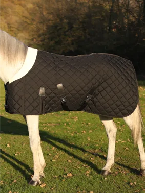 At Battaniyesi Rehberi: Mevsime ve İhtiyaca Göre Doğru Seçim