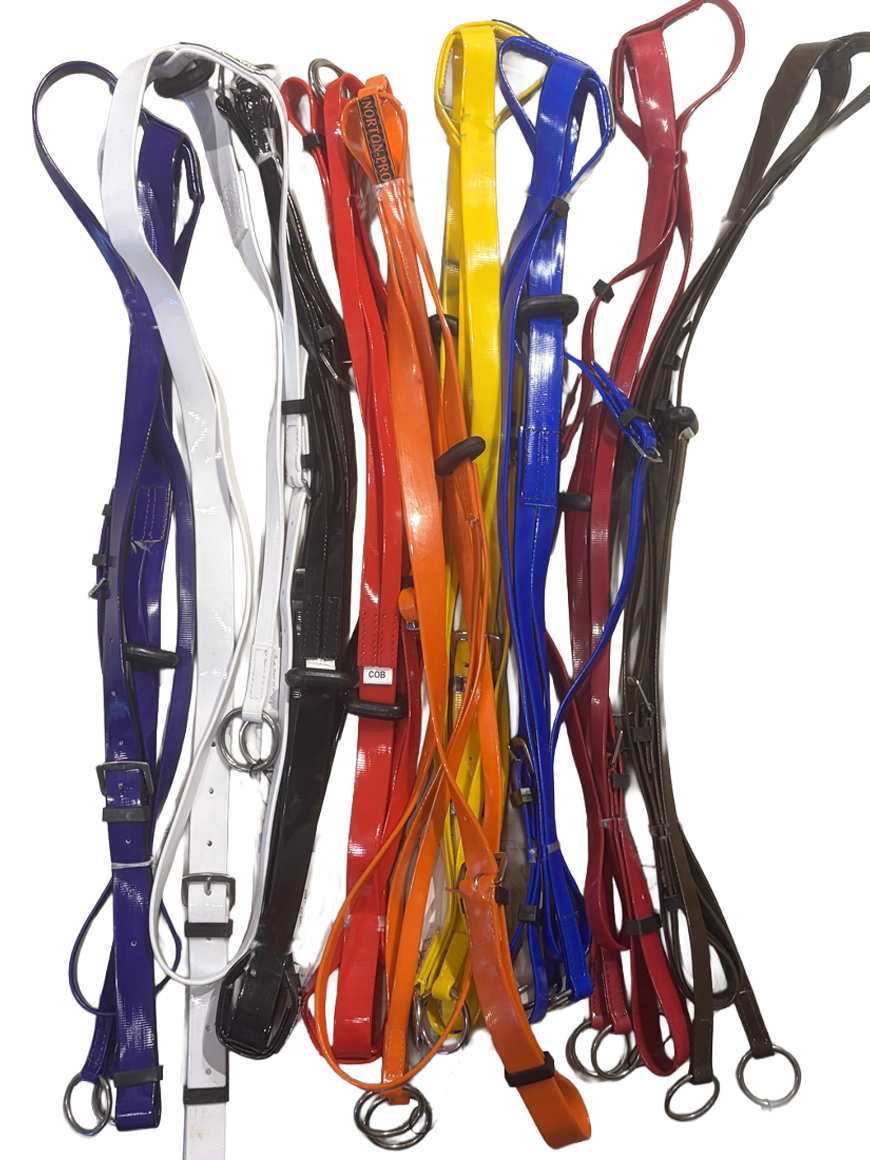 pvc-martingal-renkli-001