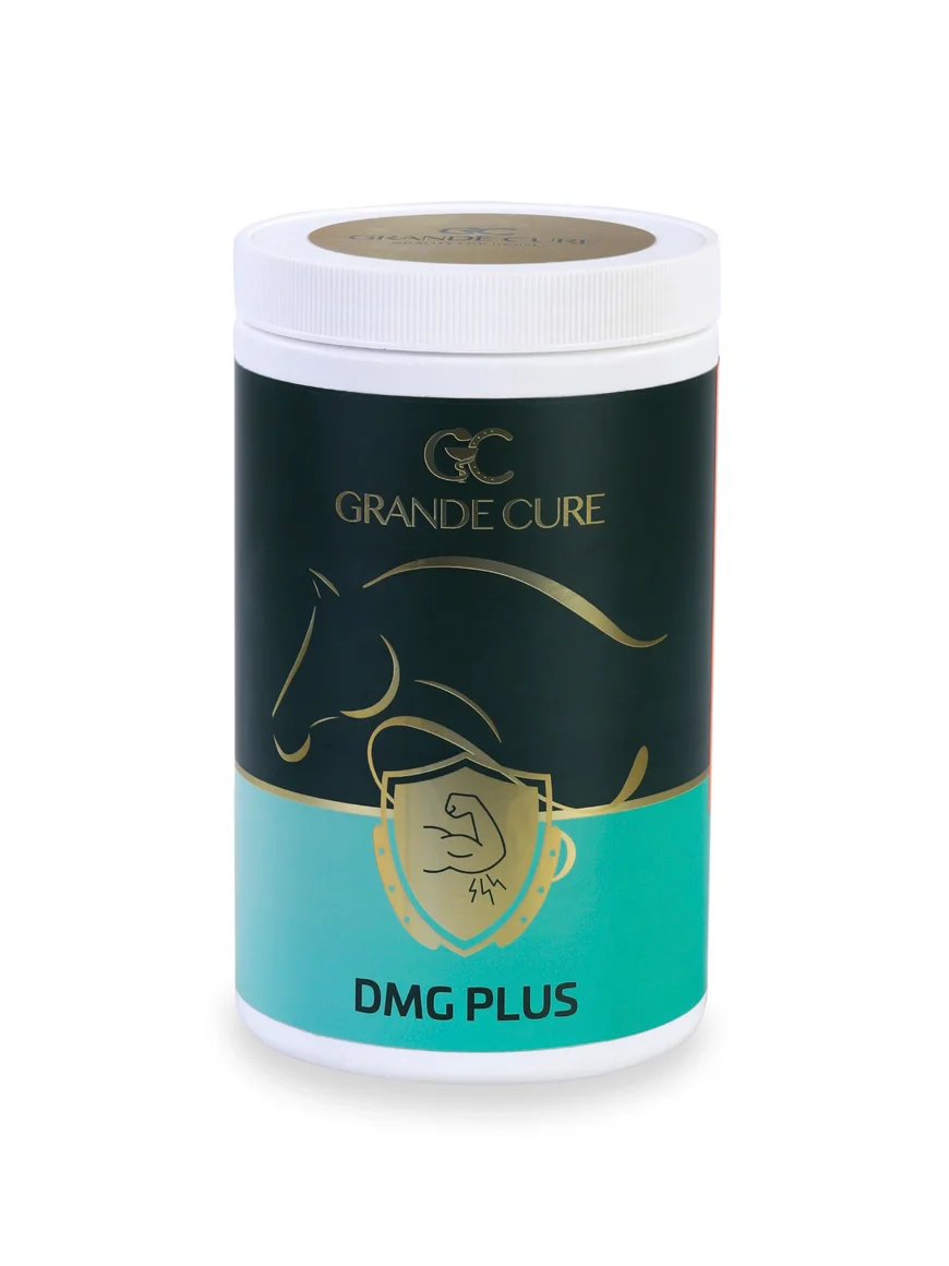Gc Dmg Plus (1 kg) — At Sağlık Ürünleri