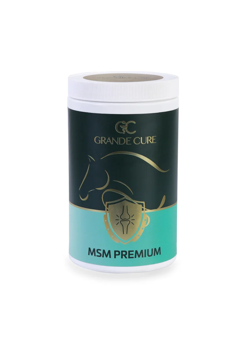 Gc Msm Premium (1 kg) 1 kg, 3 kg — At Sağlık Ürünleri