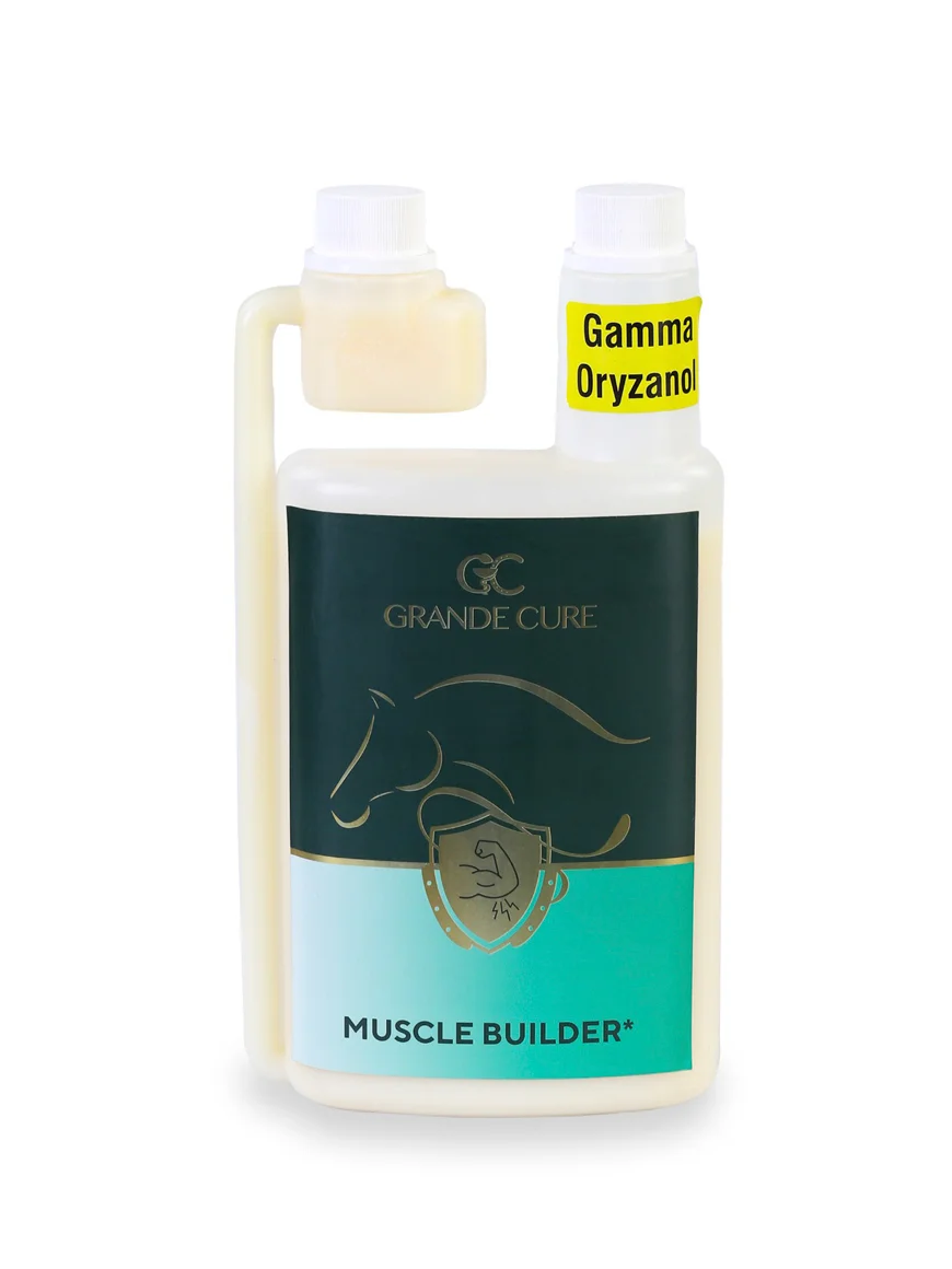 Gc Muscle Builder (1 kg) 2 kg, 5 kg — At Sağlık Ürünleri