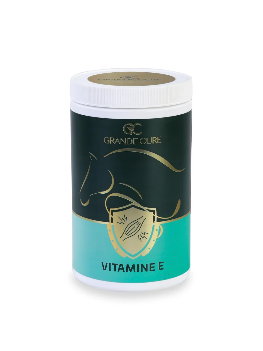 Gc Vitamine E (1 kg) — At Sağlık Ürünleri