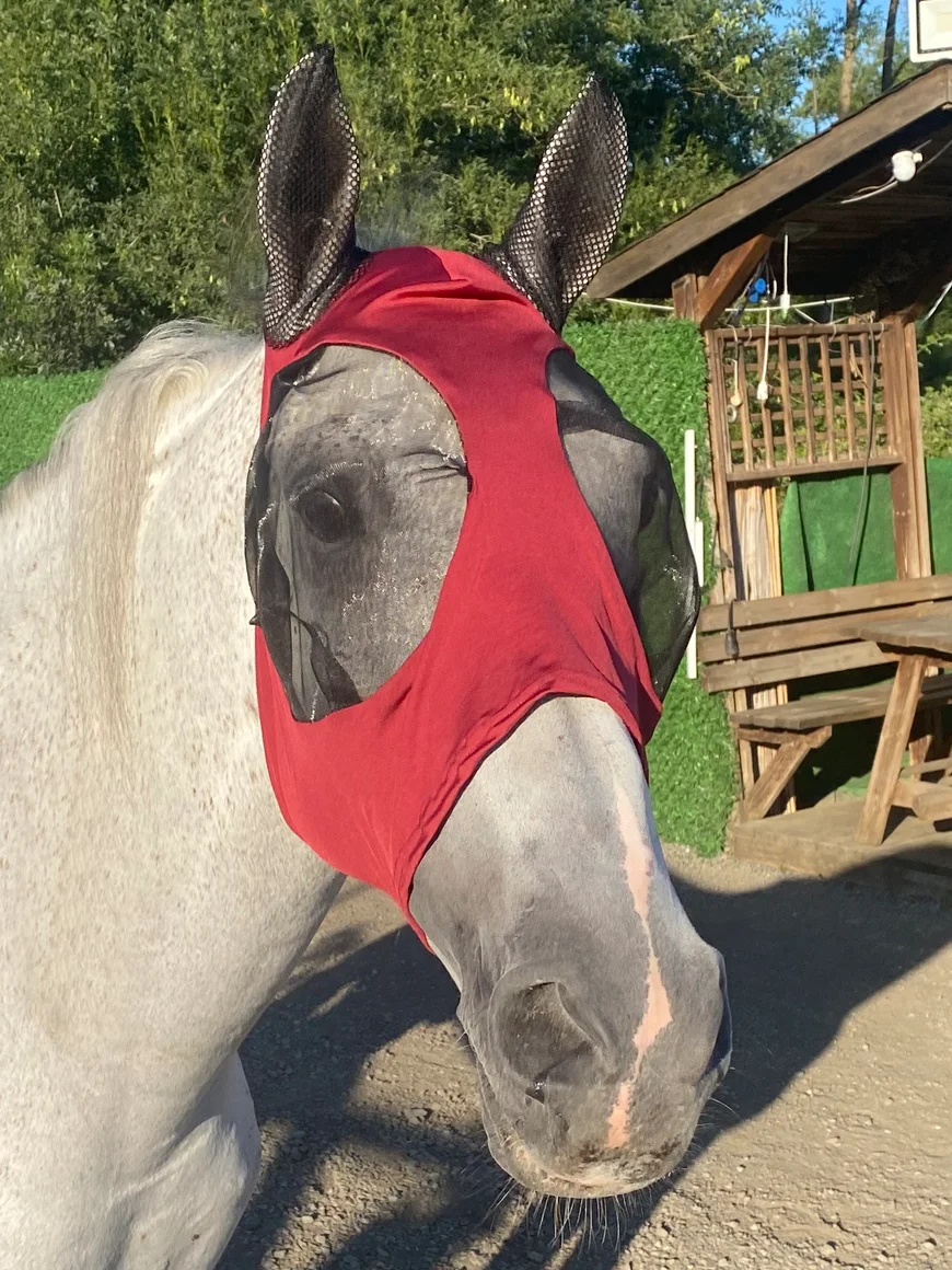 Göz Koruyucu Sineklik Maske