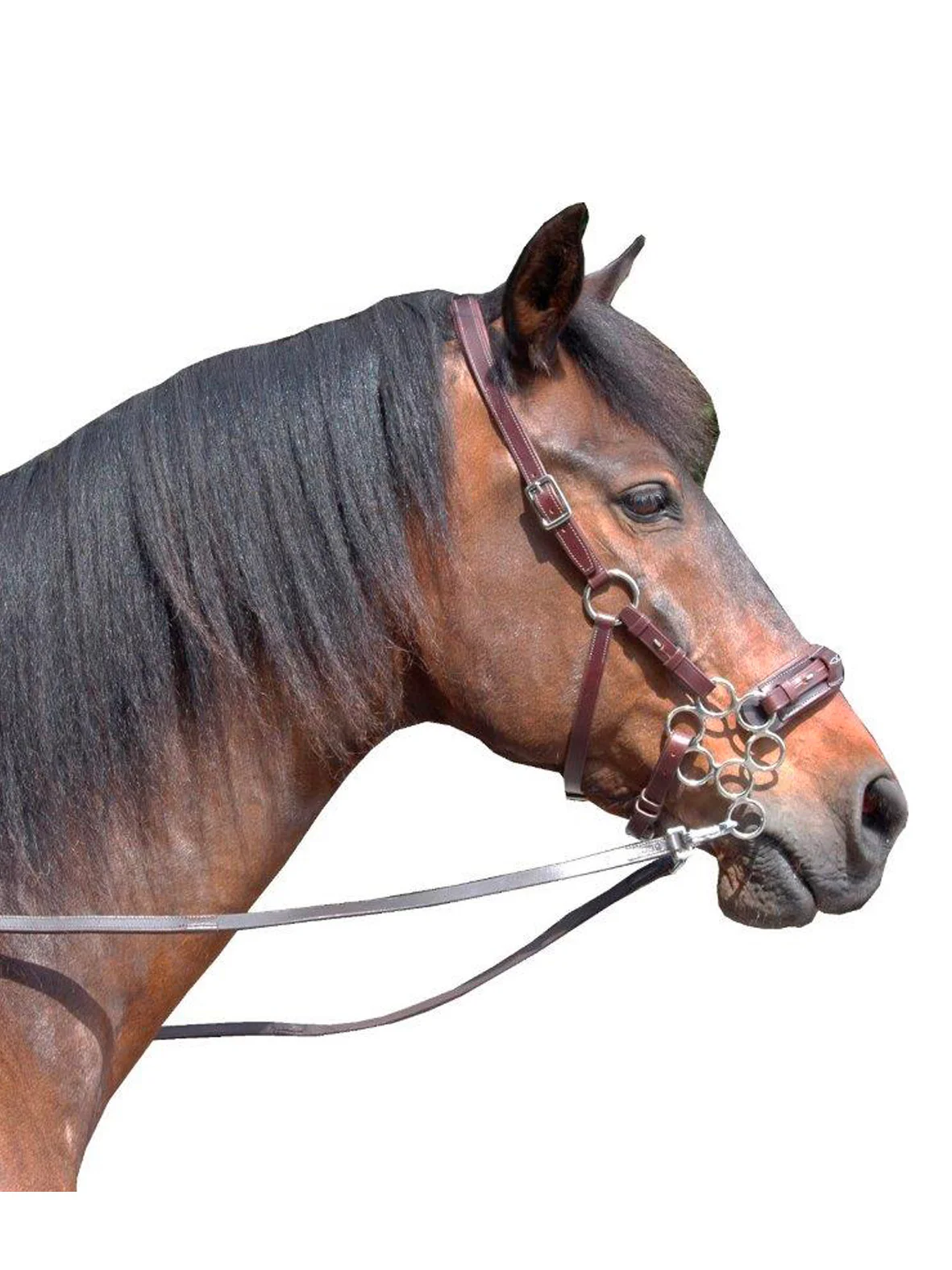 Hackamore Deri Başlık (f.r.a.® Aram) Görsel 2