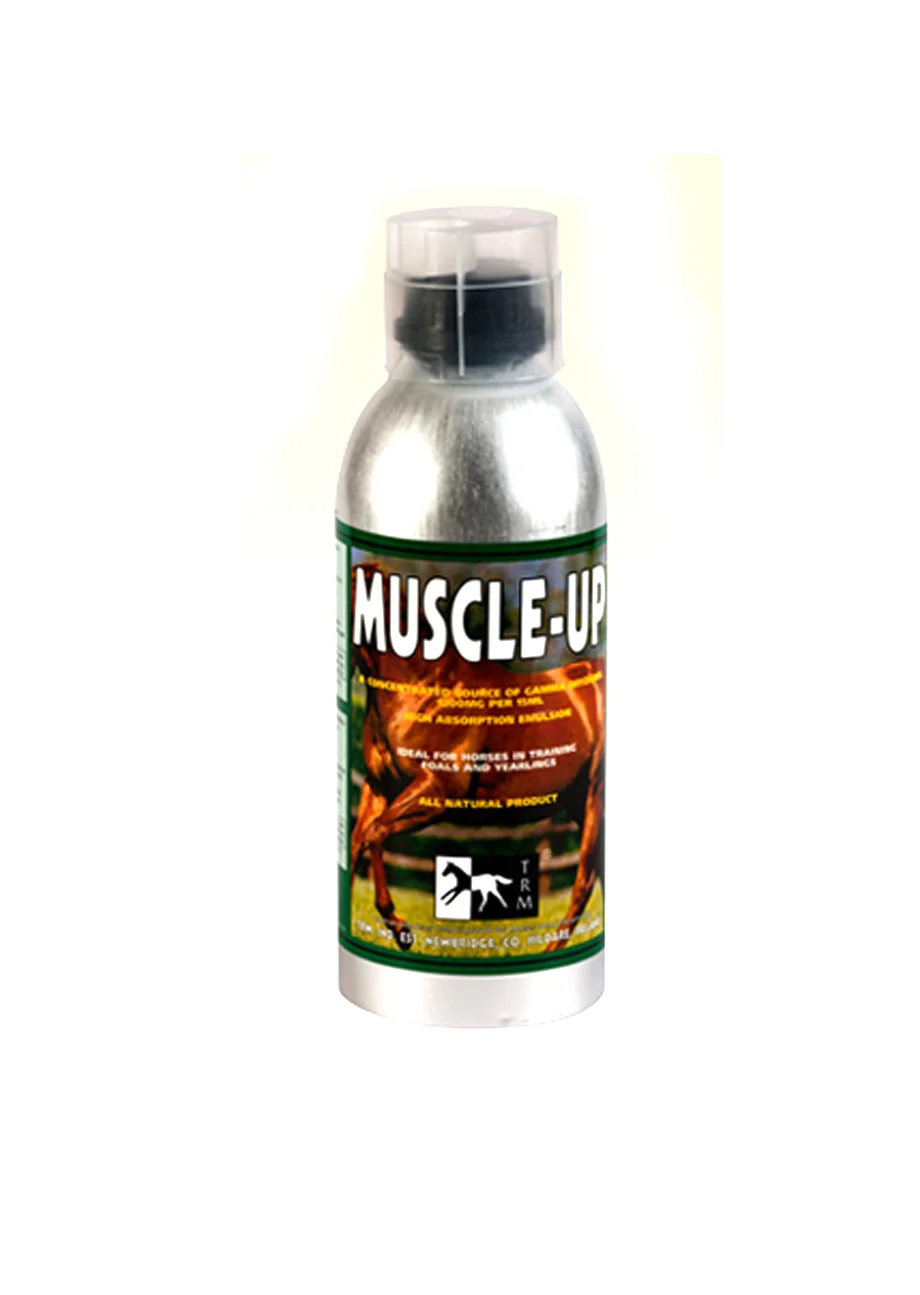 Muscle Up Trm (960 ml) — At Sağlık Ürünleri
