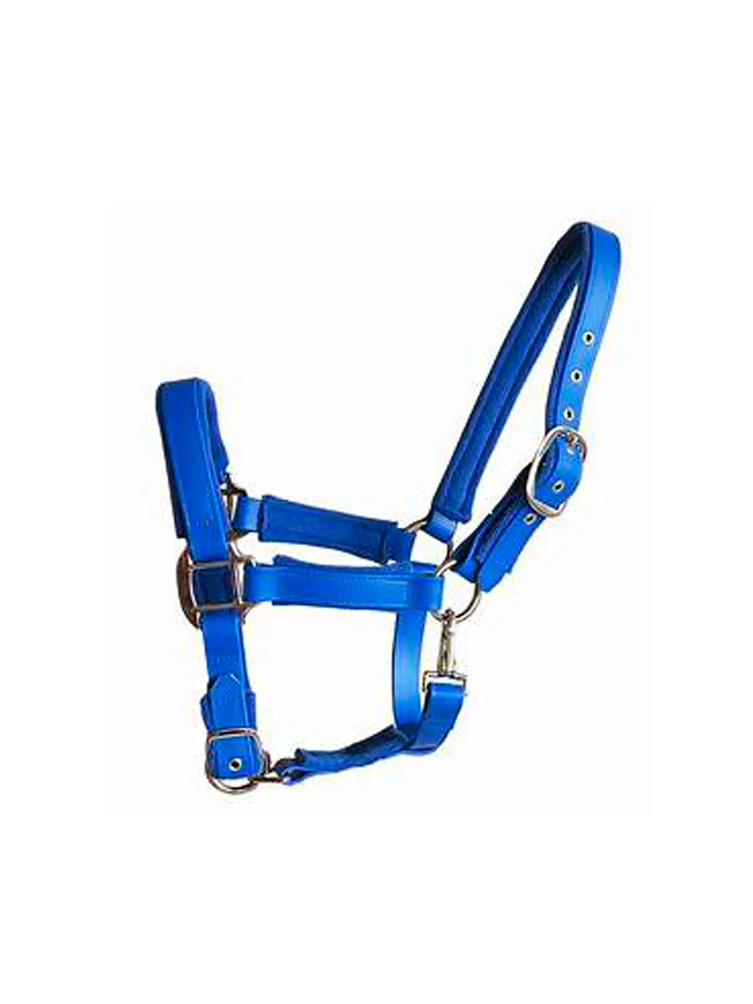 Pvc Yular Sarı Görsel 2
