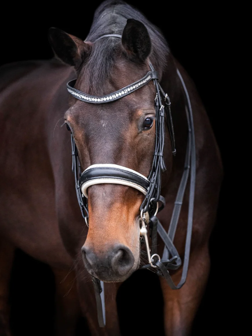 Taşlı Deri Başlık (nıka) Pony Görsel 2