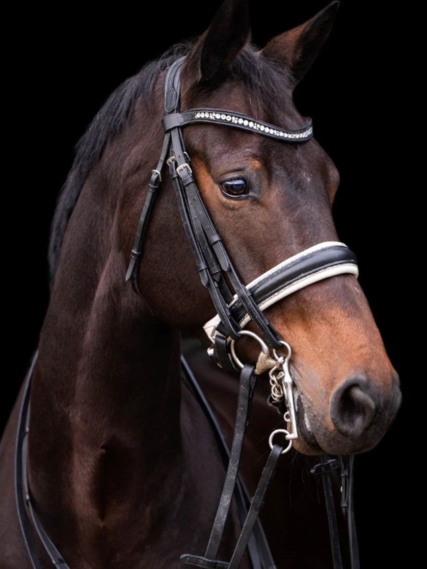 Taşlı Deri Başlık (nıka) Pony — At Malzemeleri